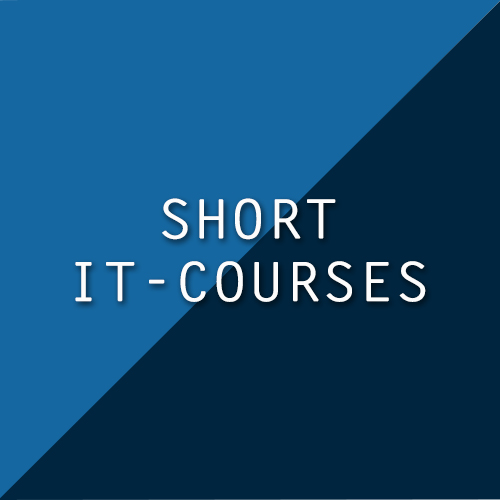 Short IT courses